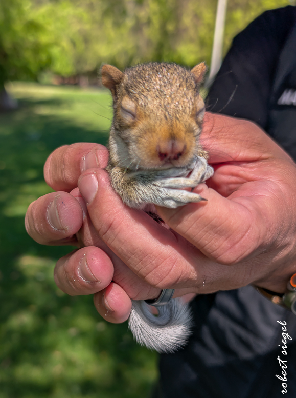 eleanor pardee park 2025